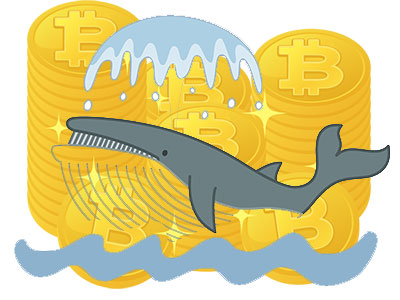 ビットコインにおけるクジラとは